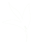 茶アイコン