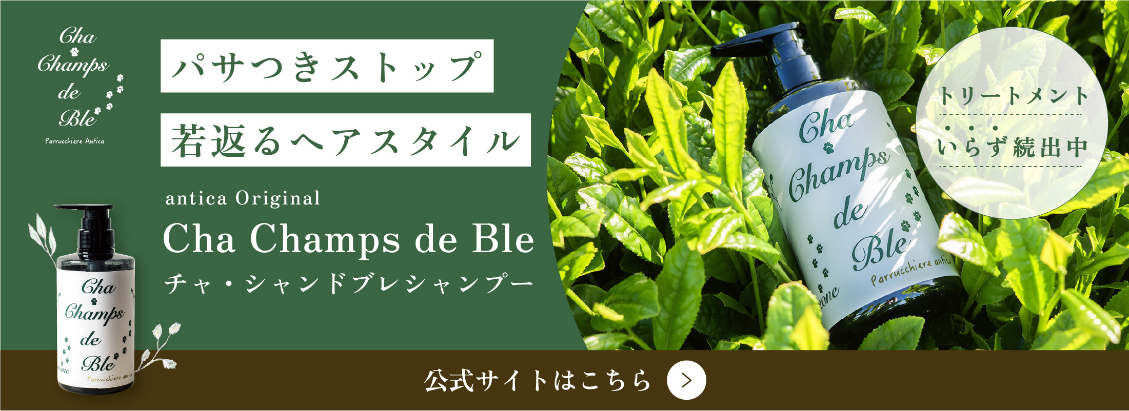 チャシャンドブレシャンプーバナー