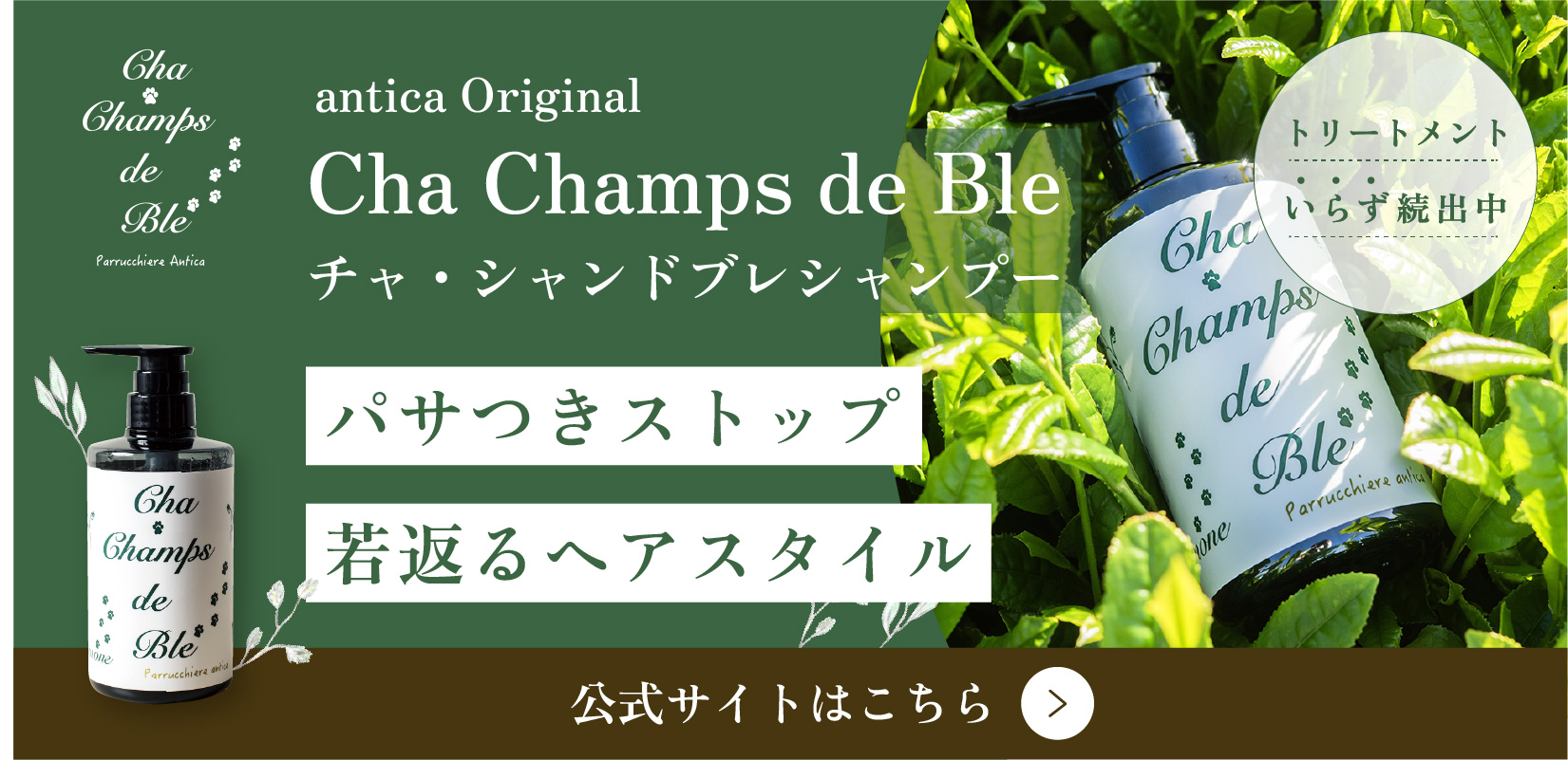 チャシャンドブレシャンプーバナー